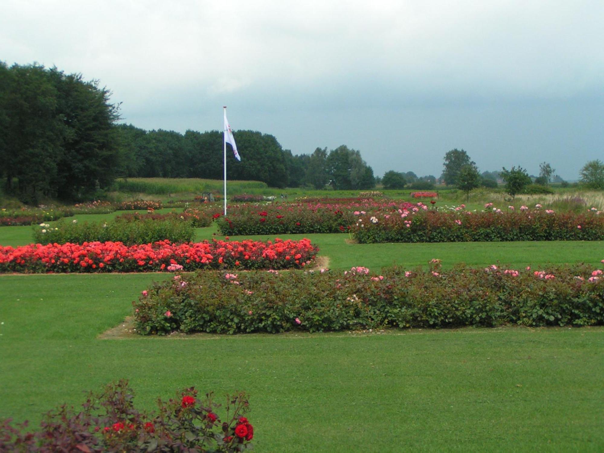 Rosa Arvensis Bed & Breakfast Lottum Exterior photo